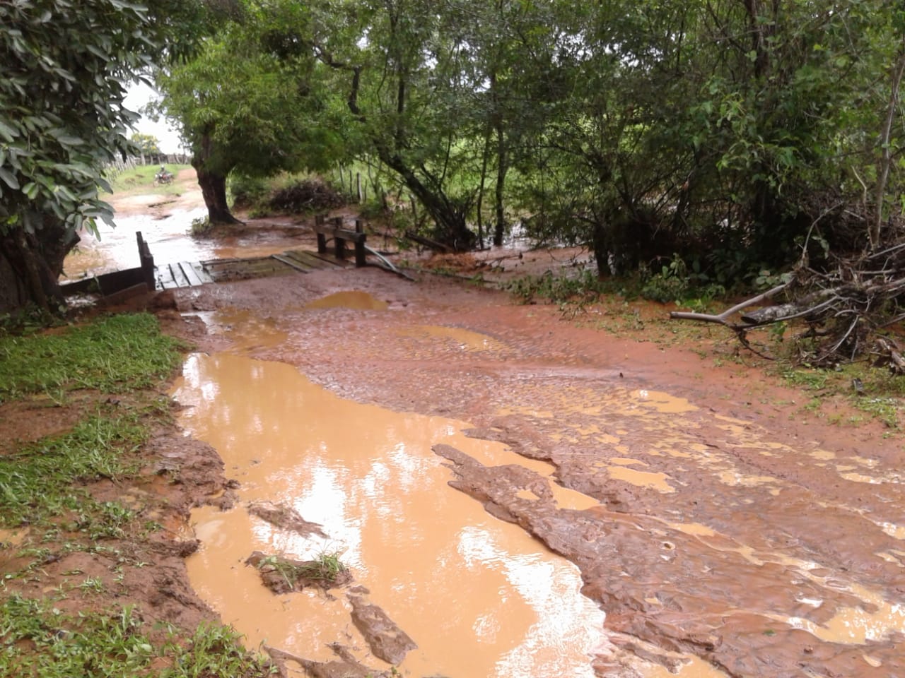 Chuva intensa causa transtornos em Piripiri